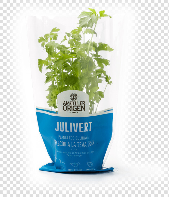 Houseplant  HD Png DownloadTransparent PNG