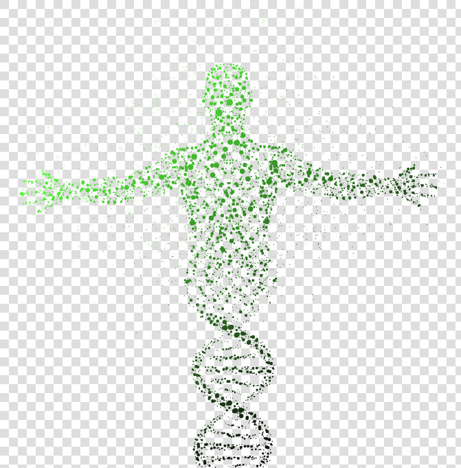 Molecular Structure Of Human Body  HD Png DownloadTransparent PNG