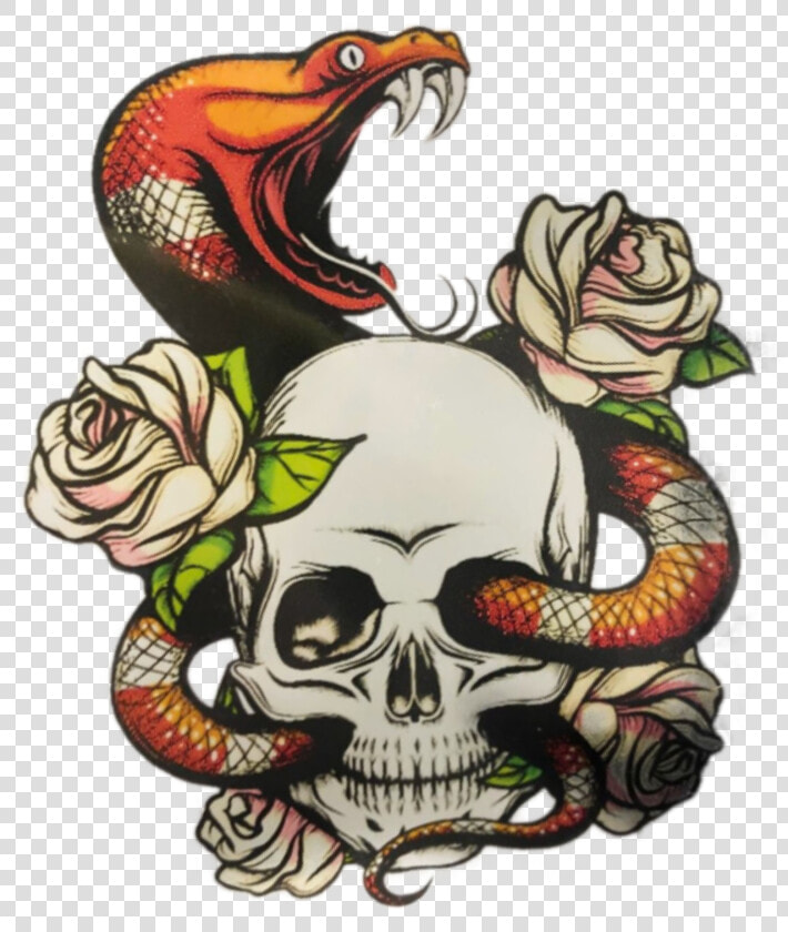  stickergang  snake  skull  slither  rose  flower  venom   Roses And Snakes Colored Drawings  HD Png DownloadTransparent PNG