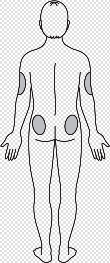 Back Side Appropriate Injection Sites   Line Art  HD Png DownloadTransparent PNG