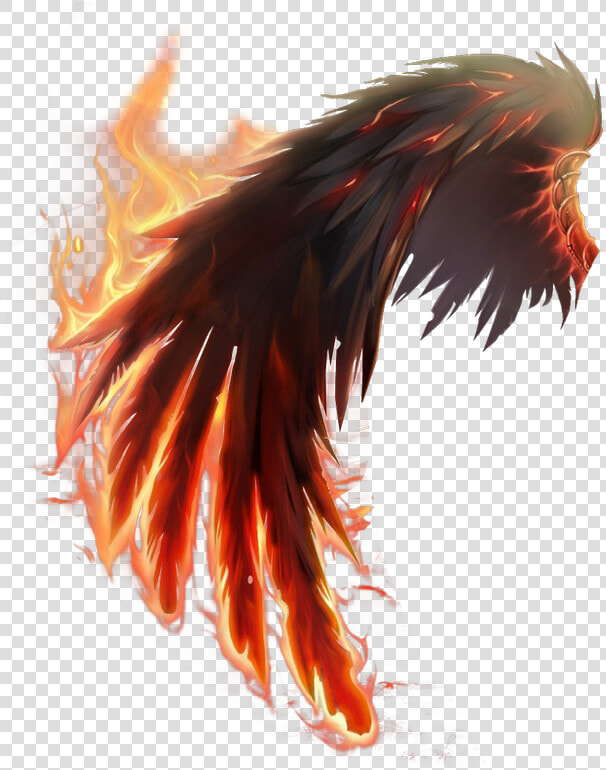  wing  devil  fire   Fire Wing Png Transparent  Png DownloadTransparent PNG