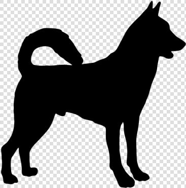 Canaan Dog Working Dog Dog Breed Animal Clip Art   Bull Terrier Vector  HD Png DownloadTransparent PNG