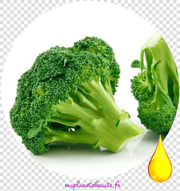 Huile De Brocoli   Example Of Bitter Food  HD Png DownloadTransparent PNG