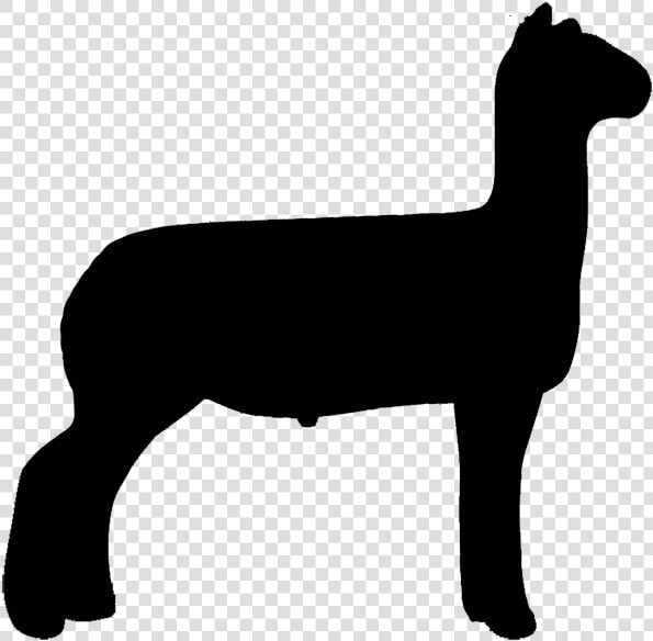 Transparent Lamb Clip Art   Silhouette Show Lamb Clipart  HD Png DownloadTransparent PNG