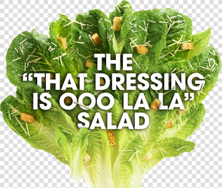 Romaine Lettuce Png  Transparent PngTransparent PNG