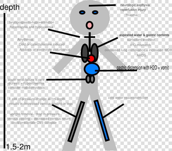 Stick Figure Pathophysiology Of Drowning Svg Clip Arts   Pathophysiology Of Drowning Diagram  HD Png DownloadTransparent PNG