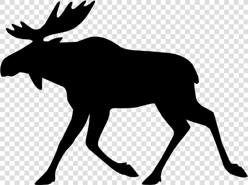 Moose Elk Deer Bear   Moose Icon  HD Png DownloadTransparent PNG