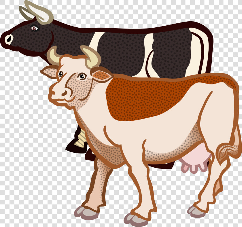 Cows Coloured Big Image   Two Cows Clipart  HD Png DownloadTransparent PNG