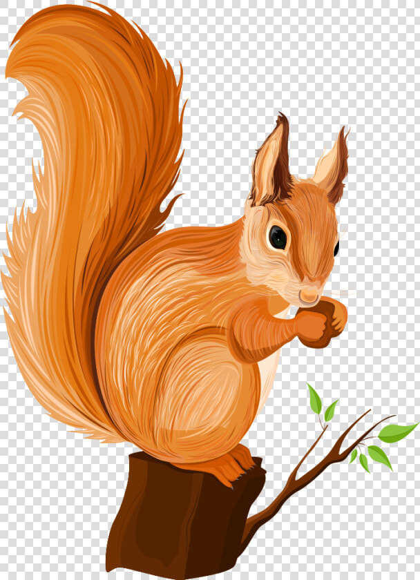 Vector Squirrel Chipmunk   Squirrel Cartoon Png  Transparent PngTransparent PNG