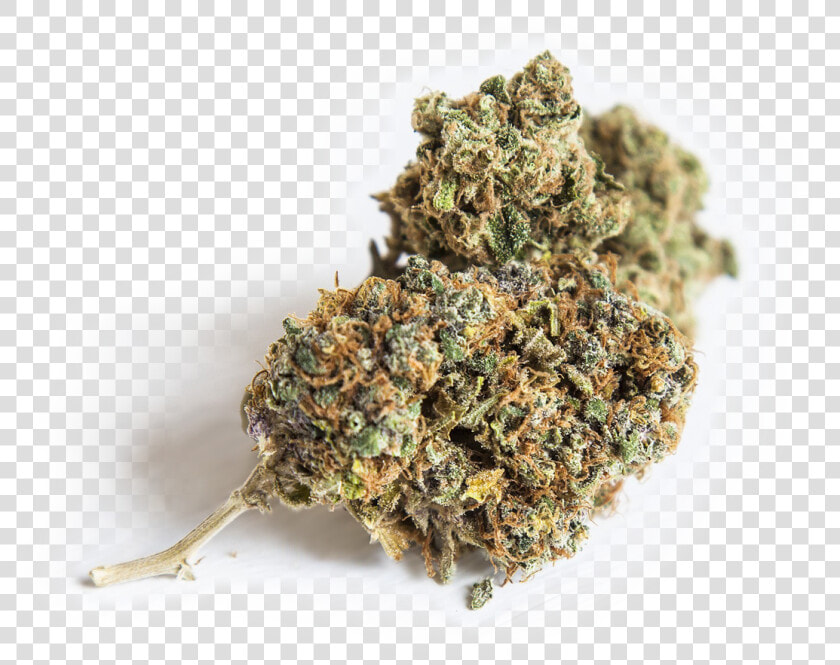 Transparent Weed Transparent Png   Bad Weed  Png DownloadTransparent PNG