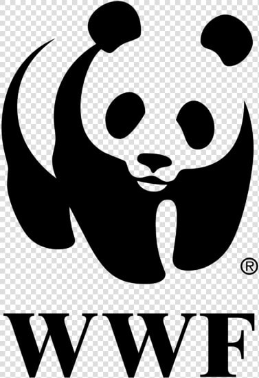 Wwf Logo Png  Transparent PngTransparent PNG