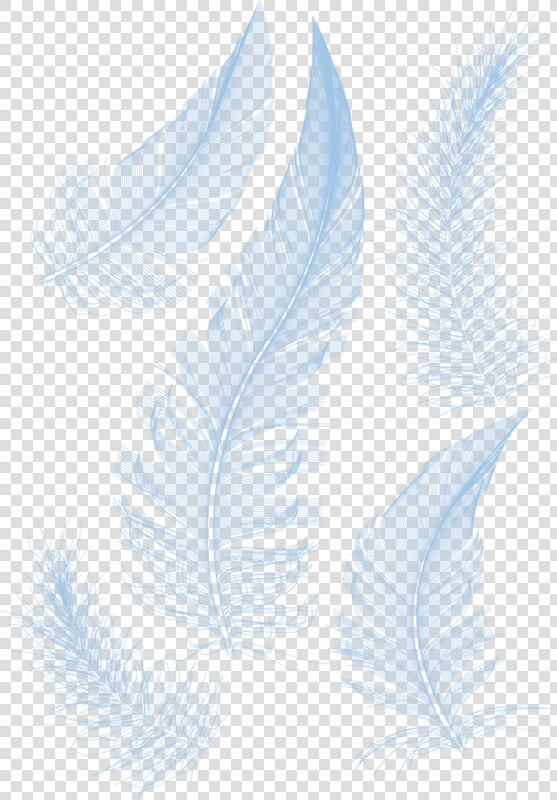 White Feathers Feather Hq Image Free Png Clipart   Powerpoint Background Design Feather  Transparent PngTransparent PNG