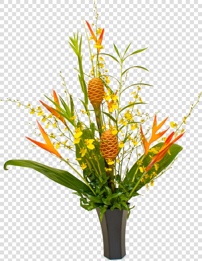 95 Previous Next   Tropical Flowers Plants Png  Transparent PngTransparent PNG