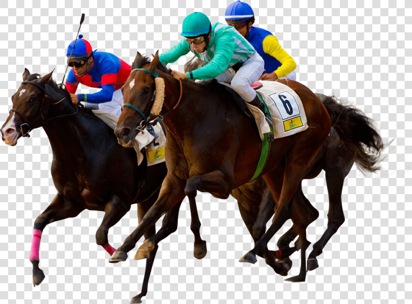 Horse   Horse Racing   Flat Racing  HD Png DownloadTransparent PNG