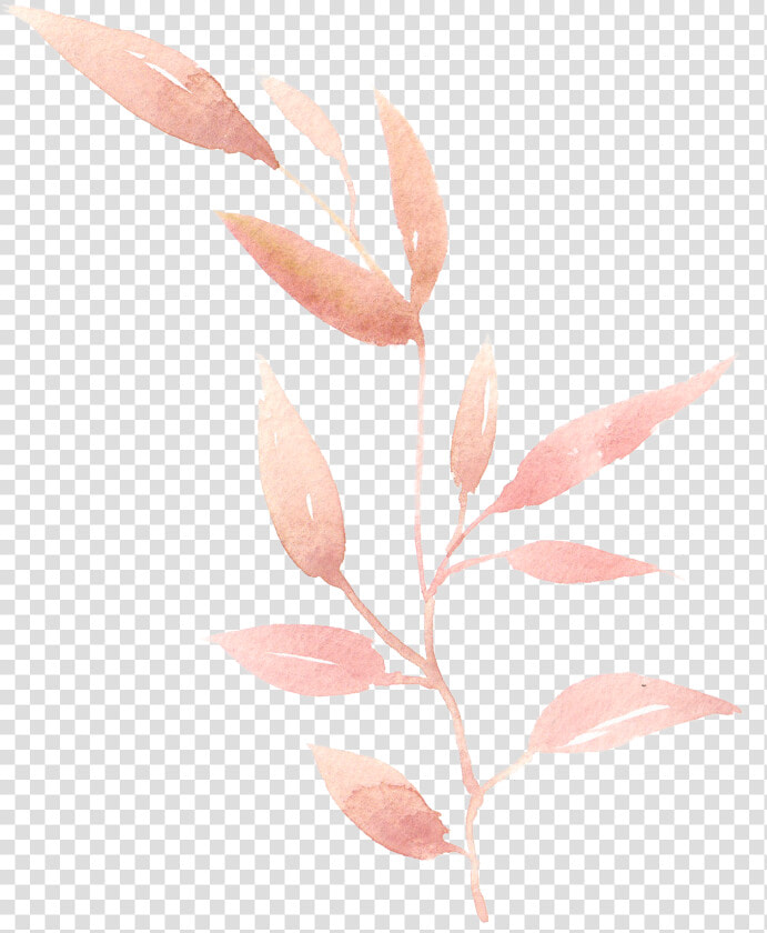 Watercolor Leaf Leaves Painting Hand painted Png Download   Transparent Leaf Watercolor Png  Png DownloadTransparent PNG