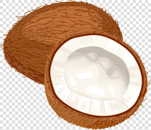 Coconuts Png Image   Transparent Background Coconut Clipart  Png DownloadTransparent PNG