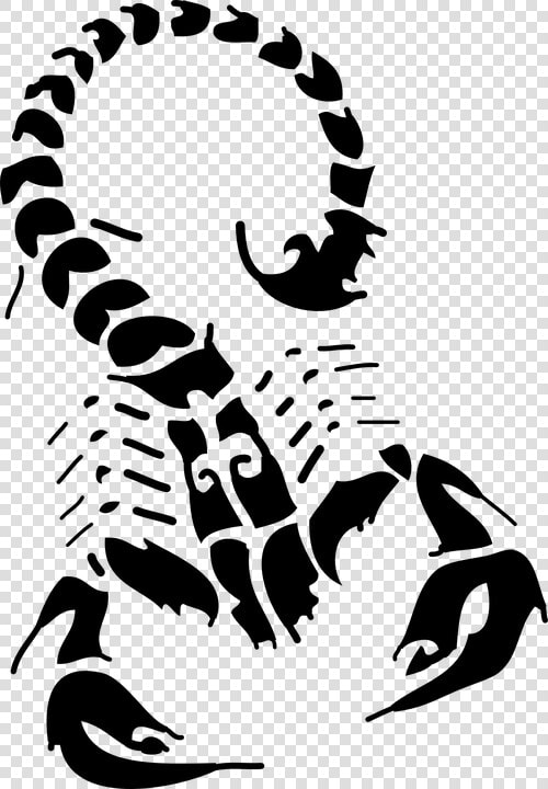 Scorpion Tattoo Flash Drawing   House Of The Scorpion Drawings  HD Png DownloadTransparent PNG