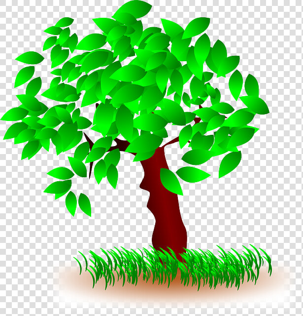 Tree  Leaves  Grass  Nature  Wood  Green   Tree With Leaves Clipart  HD Png DownloadTransparent PNG