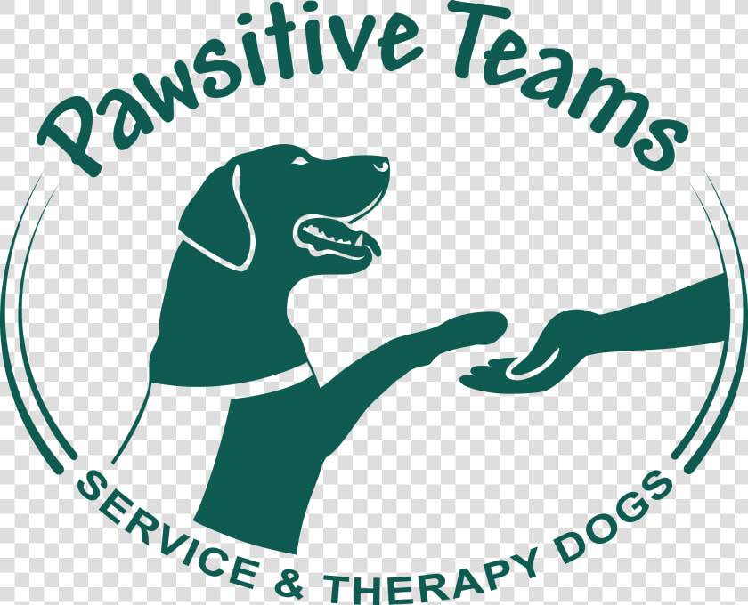 Pawsitive Teams   Dog Catches Something  HD Png DownloadTransparent PNG