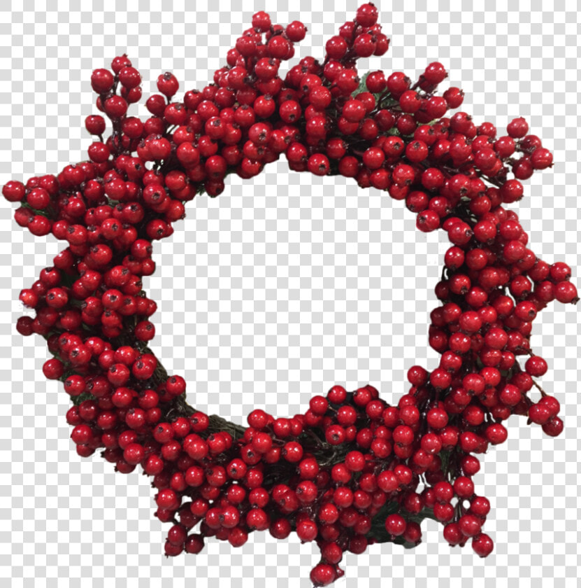 Berry   At   43   Images Sylvia Garrison   Red Christmas Reef Png  Transparent PngTransparent PNG