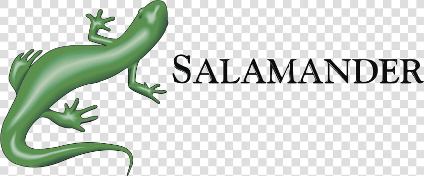 Salamander Png  Transparent PngTransparent PNG