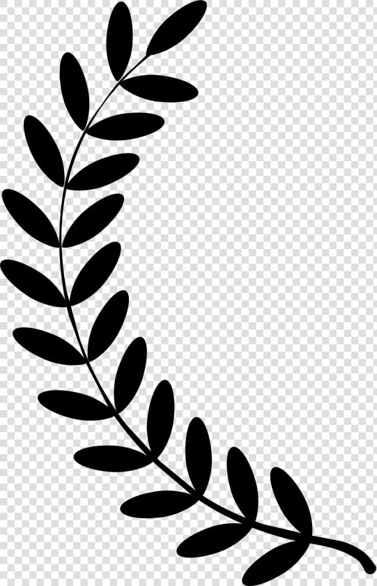 Laurel Vine Clipart   Half Laurel Wreath Png  Transparent PngTransparent PNG