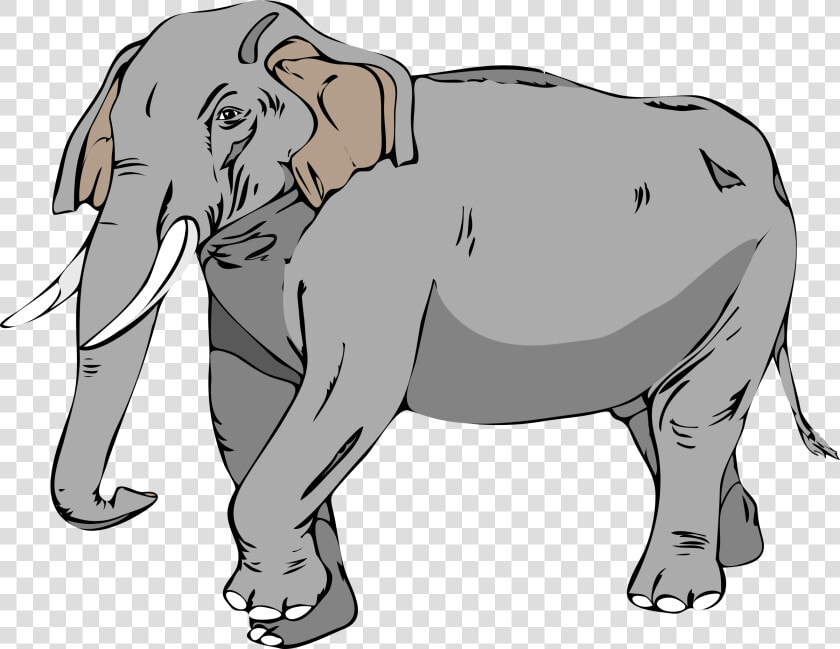 Architetto Elefante 02 Clip Arts  HD Png DownloadTransparent PNG