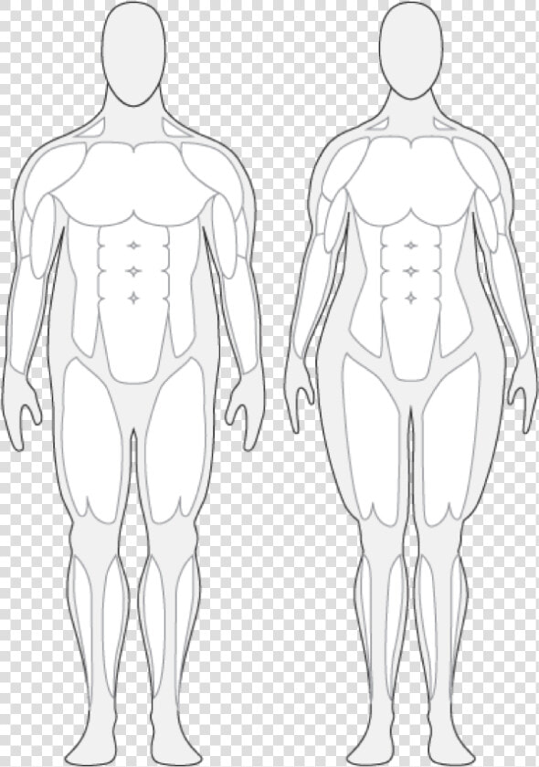 Body Composition Cliparts   Over Weight Human Body  HD Png DownloadTransparent PNG