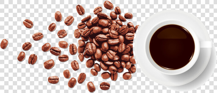 Coffee Bean Espresso   Vector Coffee Beans Png  Transparent PngTransparent PNG