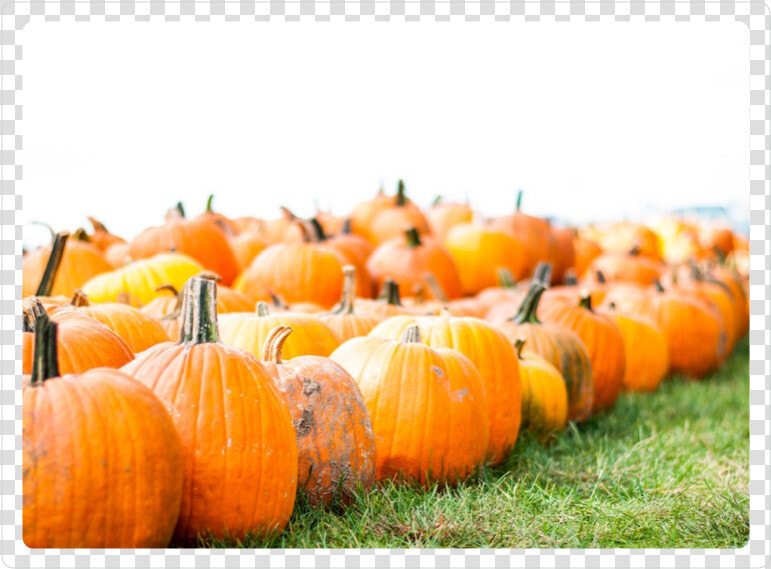 Haystack   Pumpkin  HD Png DownloadTransparent PNG