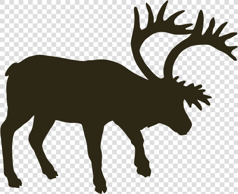 Transparent Moose Antlers Png   Silhouette Musk Ox  Png DownloadTransparent PNG