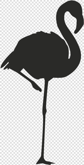 Flamingo Logo Silhouette Clip Art   Silhouette Flamingo Clipart  HD Png DownloadTransparent PNG