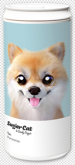 Pomeranian  HD Png DownloadTransparent PNG