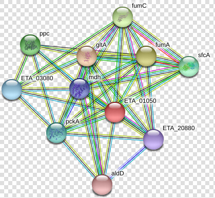 Eta 01050 Protein   Circle  HD Png DownloadTransparent PNG