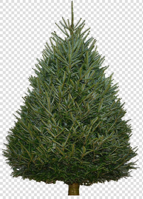 Fir Tree Png Background   Artificial Unlit Christmas Tree Sale  Transparent PngTransparent PNG