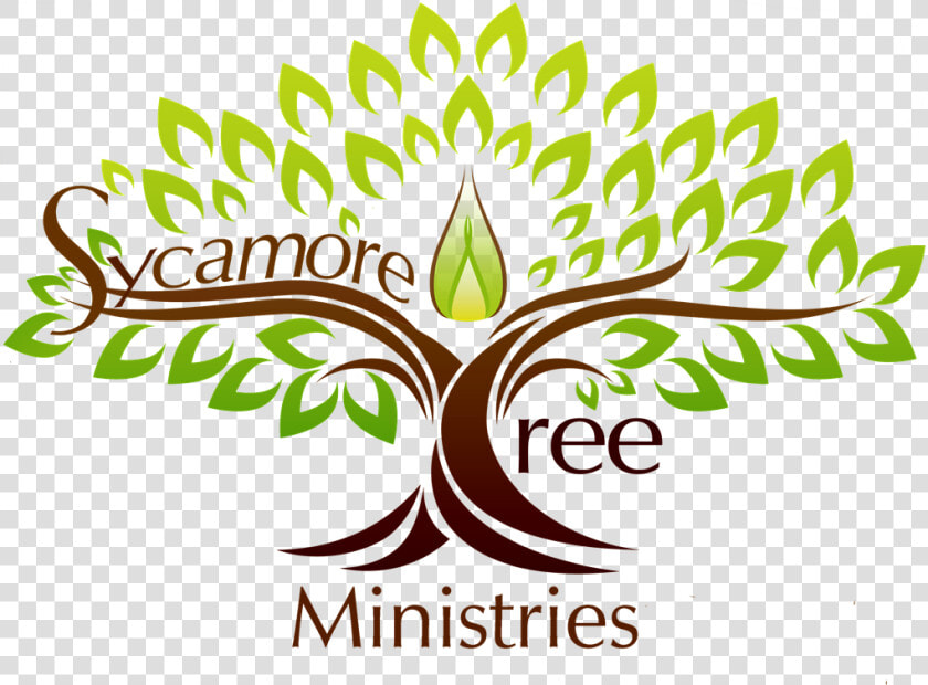 Sycamore Logo   Yoga Tree Logo  HD Png DownloadTransparent PNG