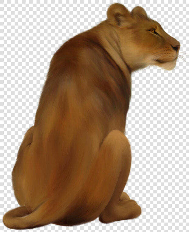 Lioness Png Pic   Png Lioness  Transparent PngTransparent PNG