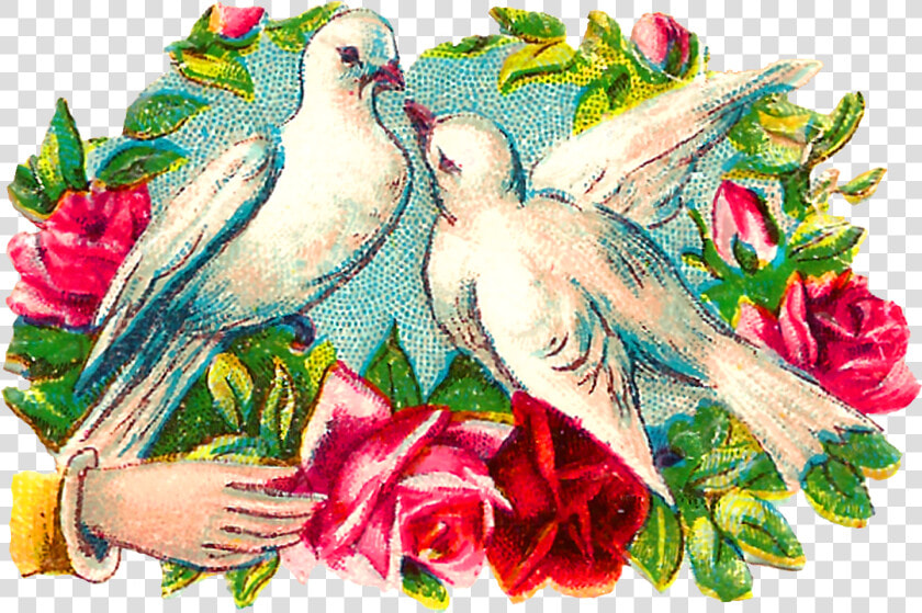 The Colorful Romantic Clipart Images Of Pairs Of Doves   Clip Art  HD Png DownloadTransparent PNG