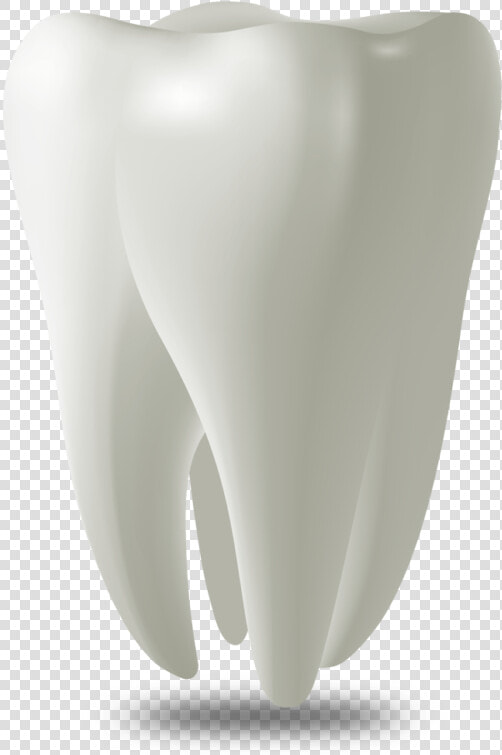 Tooth Model West Palm Beach  Fl   Wisdom Tooth Png  Transparent PngTransparent PNG