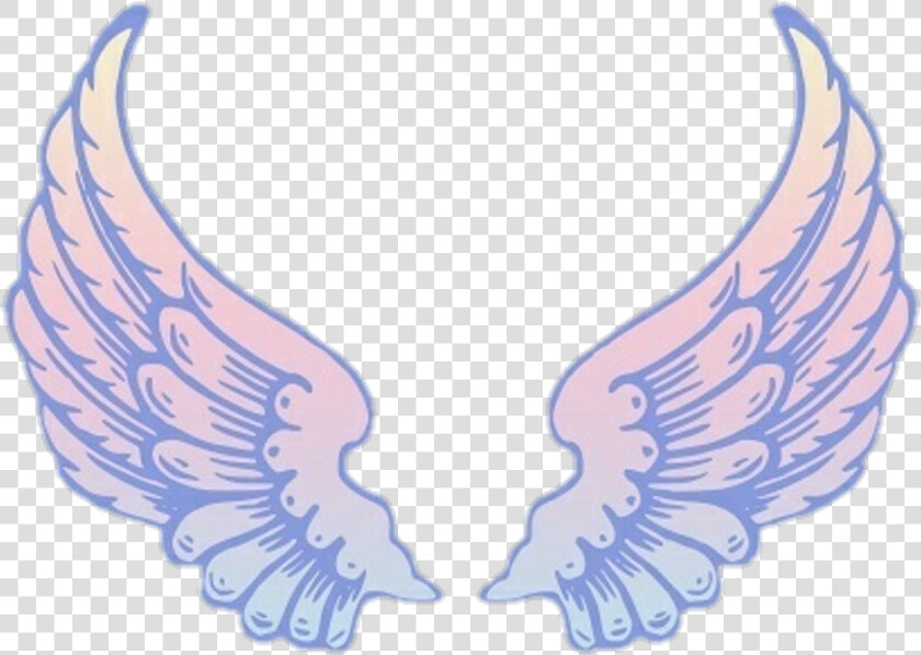  tumblr  overlay  wings  alas  lila  morado  purple  HD Png DownloadTransparent PNG