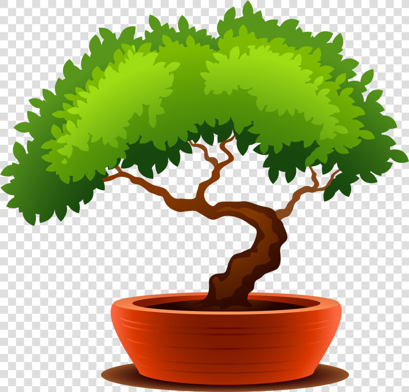 Bonsai Clipart Transparent   Bonsai Clipart  HD Png DownloadTransparent PNG