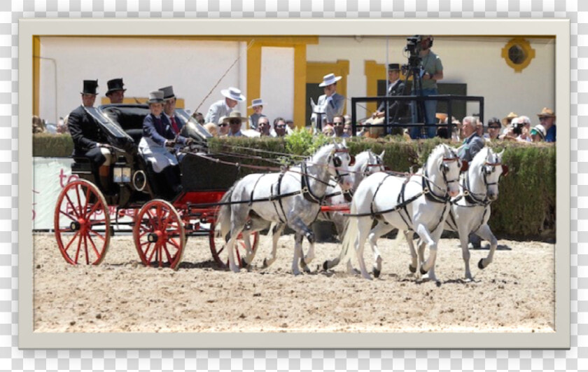 Restoration Presentation Phaeton   Horse And Buggy  HD Png DownloadTransparent PNG