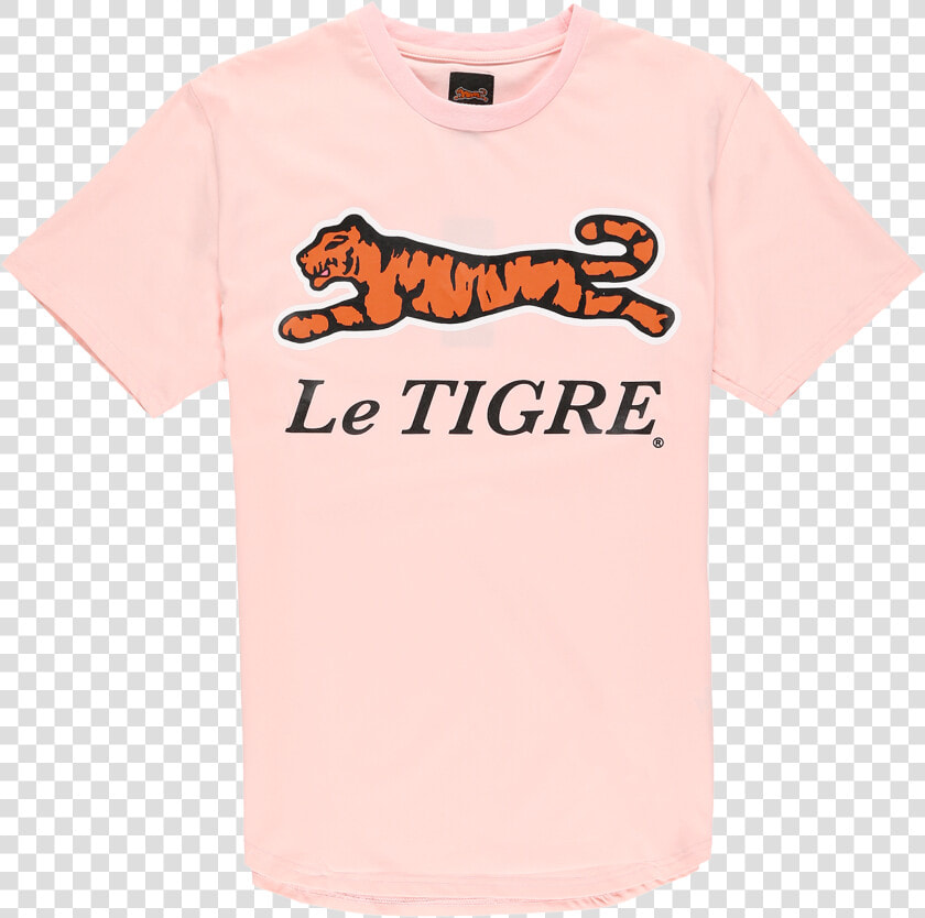 Tigre Png  Transparent PngTransparent PNG