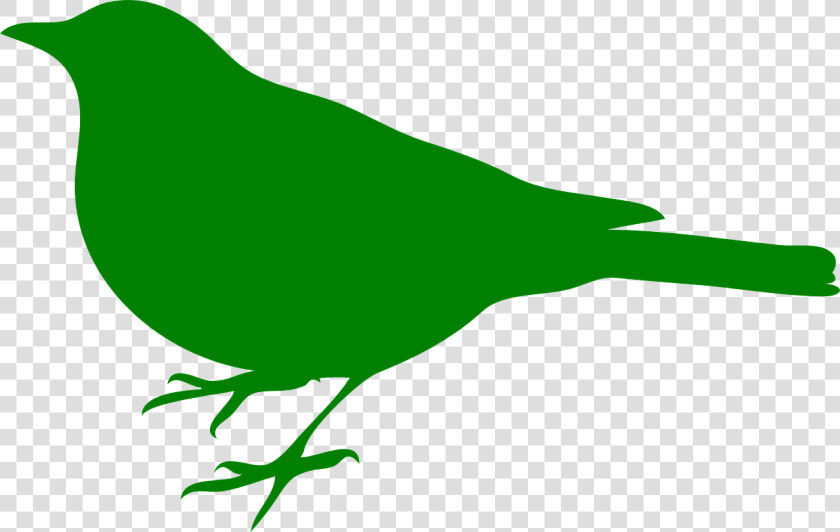 Songbird Clipart Green Bird   Bird Silhouette Clip Art  HD Png DownloadTransparent PNG