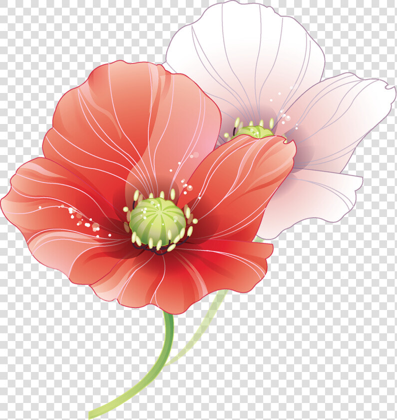 Tubes Fleurs Coquelicots Pinterest   Wedding Vector  HD Png DownloadTransparent PNG