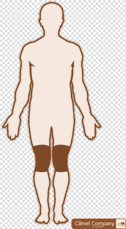 Outline Drawing Of Human Body   Png Download   Male Body Outline Template  Transparent PngTransparent PNG