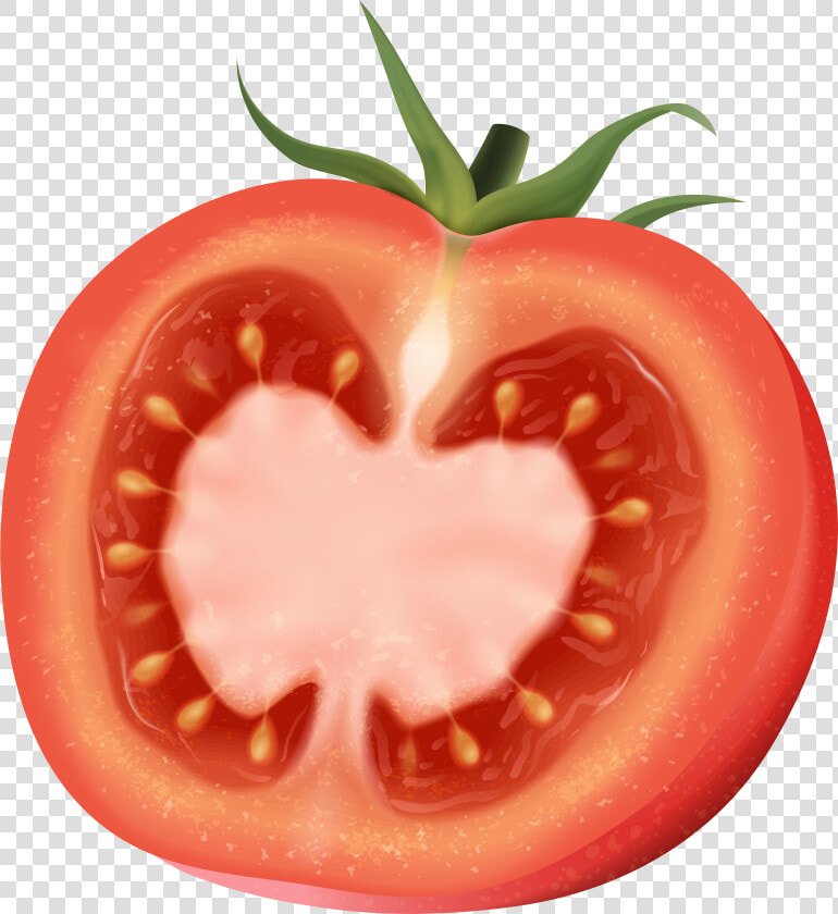 Tomato Clip Vegetable   Plum Tomato  HD Png DownloadTransparent PNG