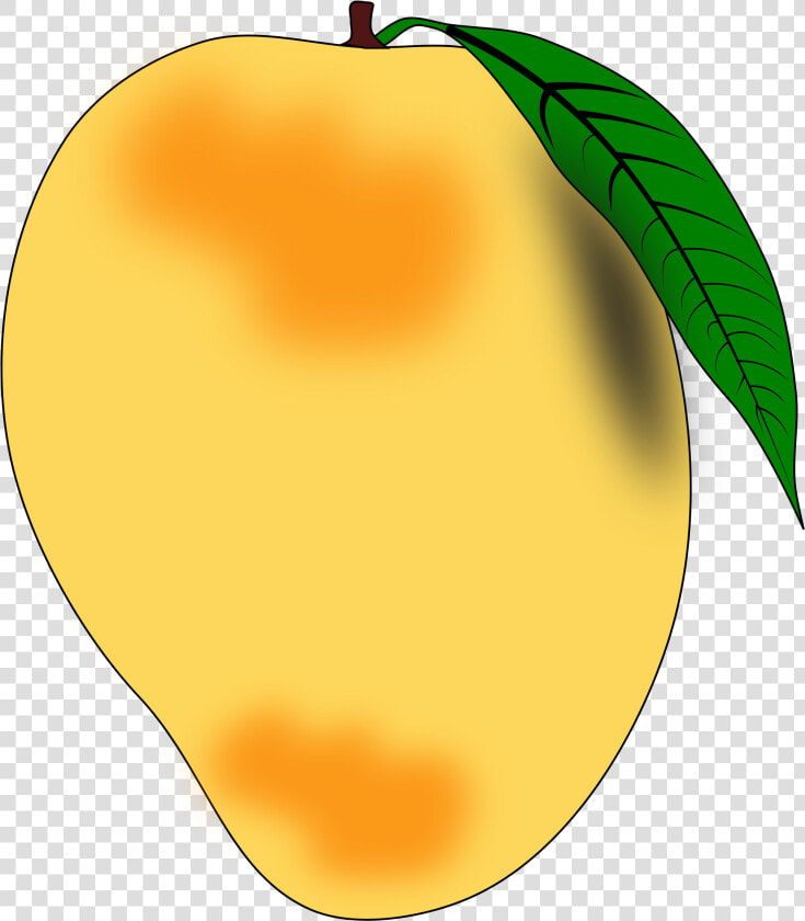 Mango Png   Png Download   Clipart Picture Of Mango  Transparent PngTransparent PNG