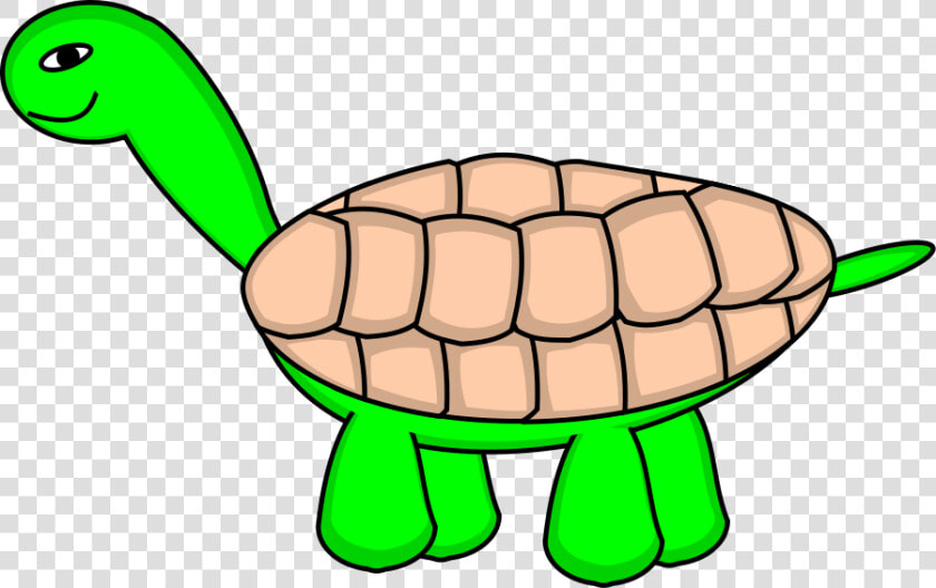 Tortoise Stage 6 Final Svg Clip Arts   Moving Pictures Of Turtles  HD Png DownloadTransparent PNG