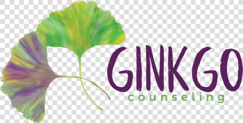 Ginkgo Tree Png  Transparent PngTransparent PNG